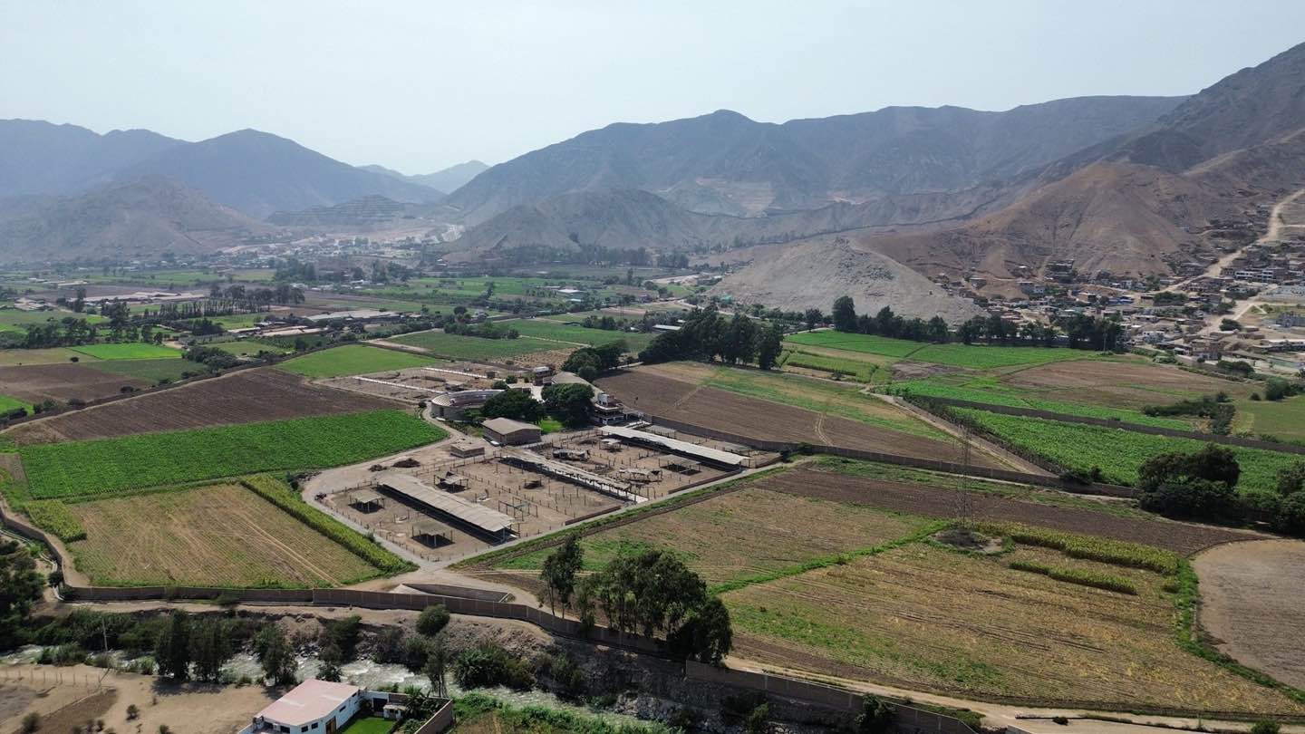 Paño Pachacamac