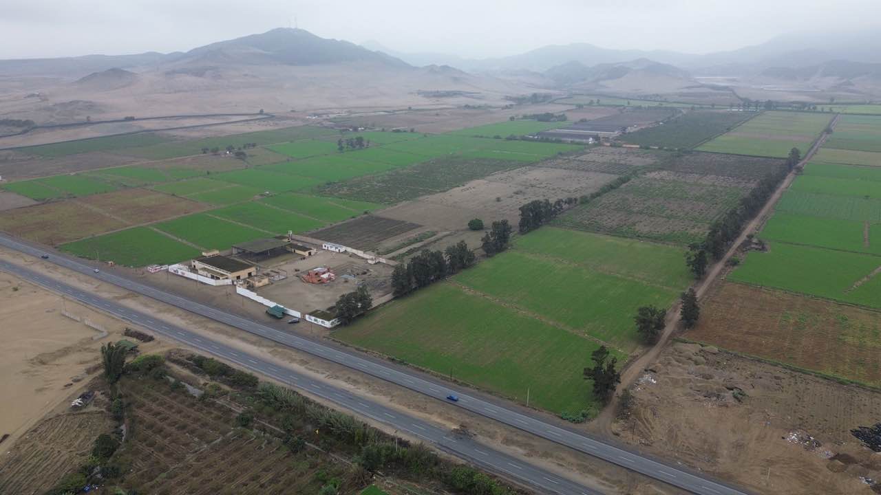 Paño Agrícola Lima